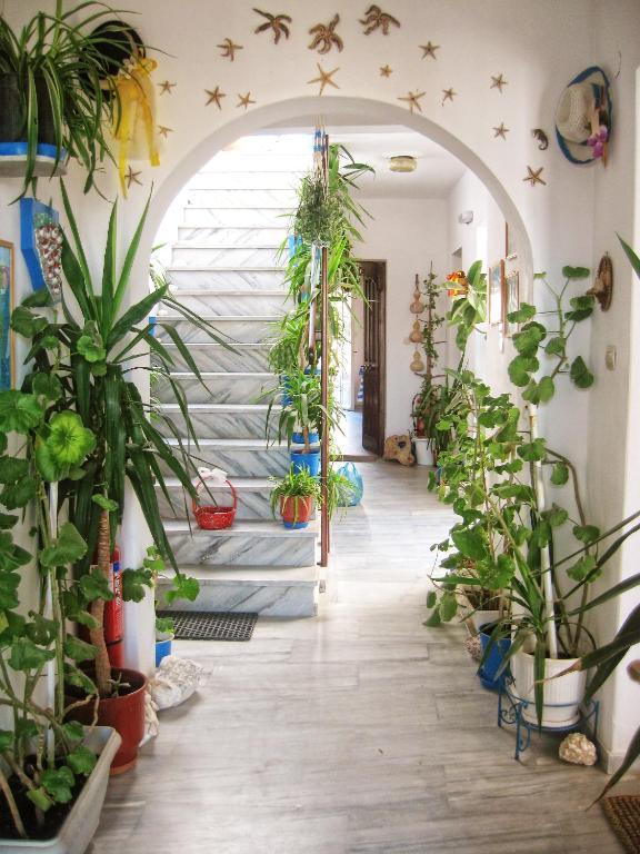 Augusta Studios & Apartments Nausa Zewnętrze zdjęcie
