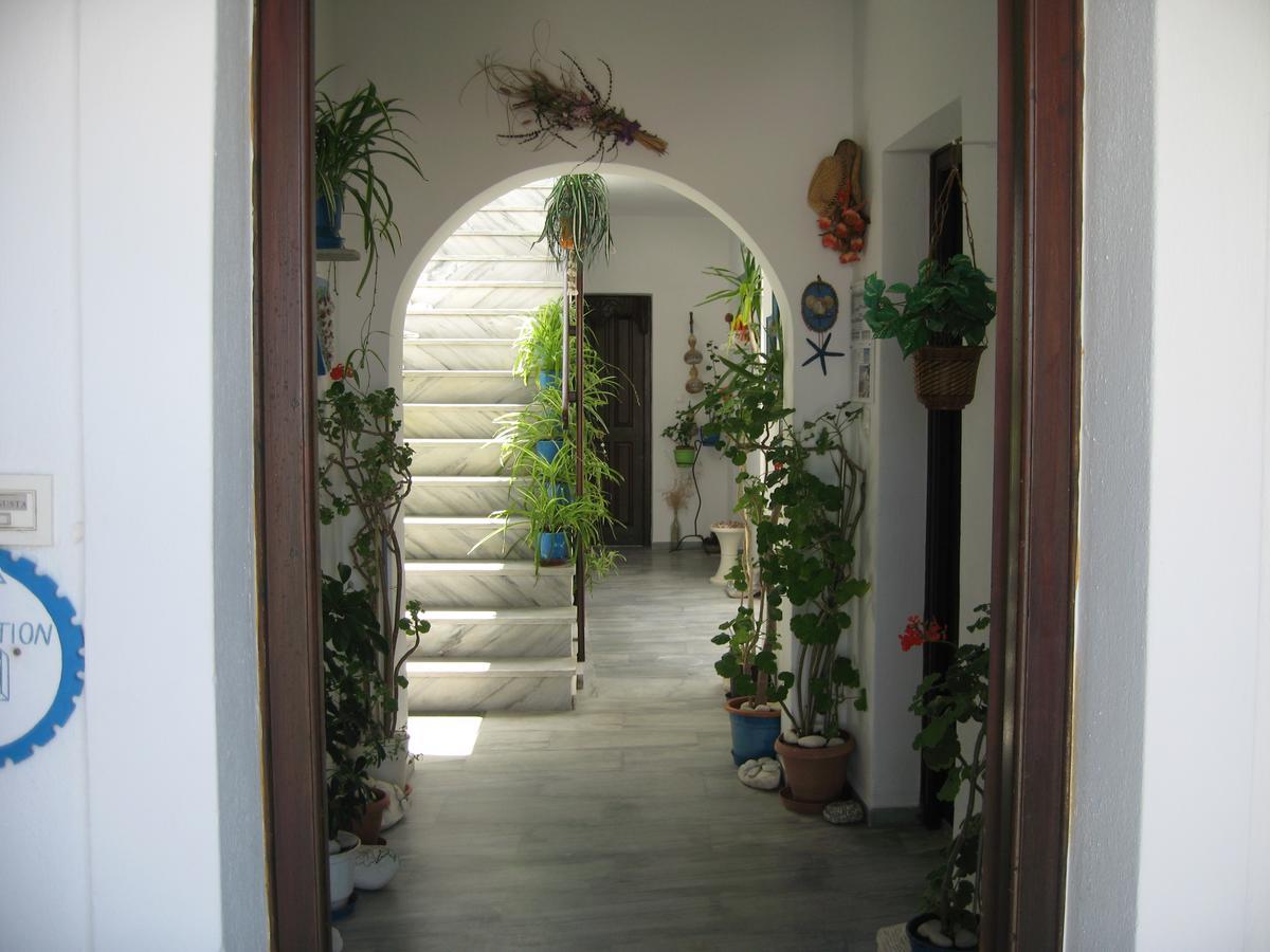 Augusta Studios & Apartments Nausa Zewnętrze zdjęcie